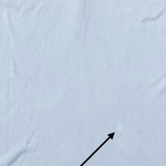 Classic Elements XL Cotton polo sleeveless top in Blue - Picture 6 of 8